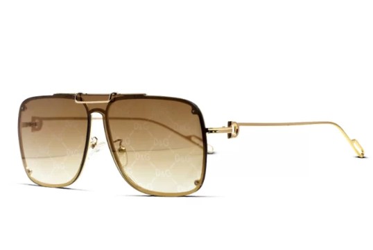 Dolce & Gabbana Sunglasses 2602A