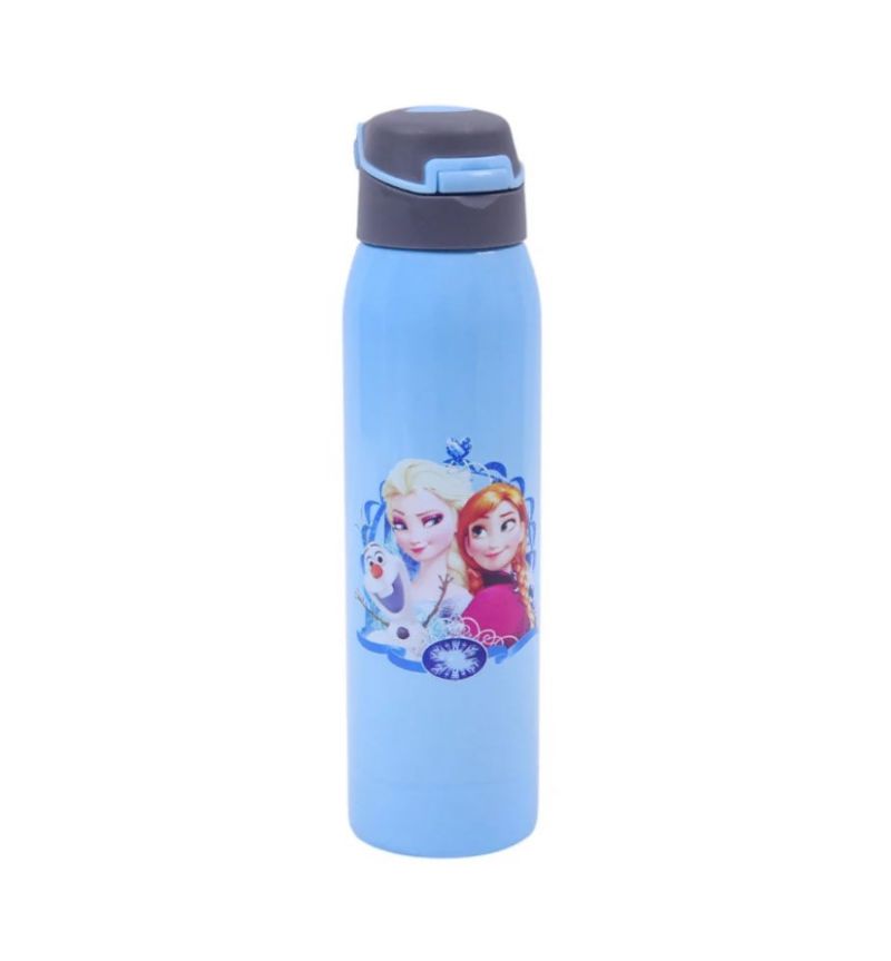 1105 SS WATER BOTTLE FROZEN 500ML